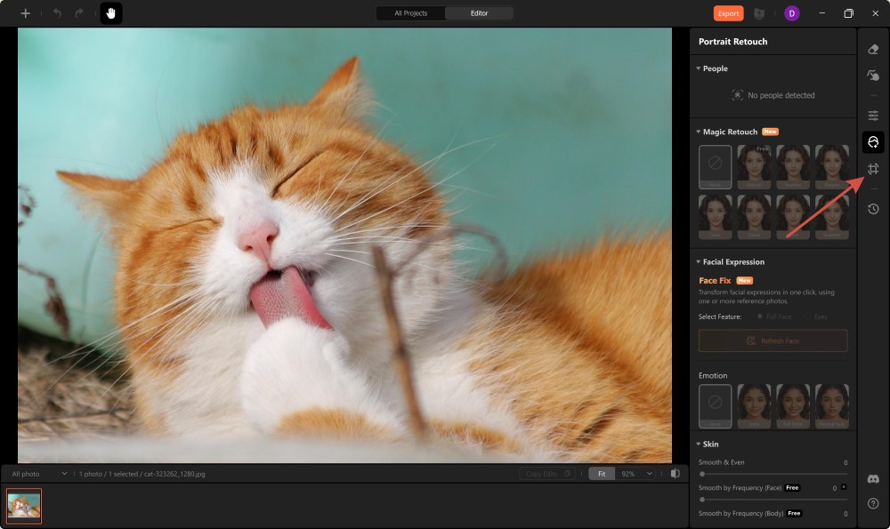 Airbrush Studio Screenshot EN - mirror the photo crop and rotate
