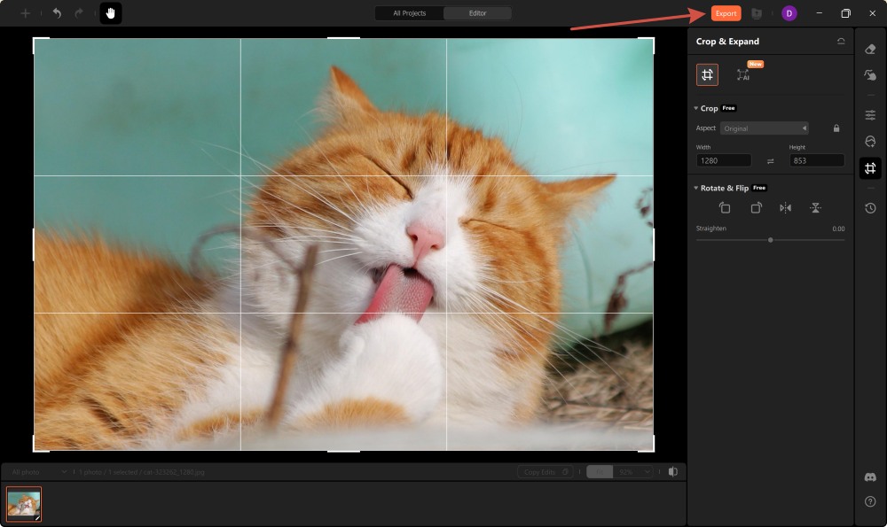 Airbrush Studio Screenshot EN - mirror the photo export