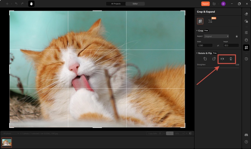 Airbrush Studio Screenshot EN - mirror the photo flip