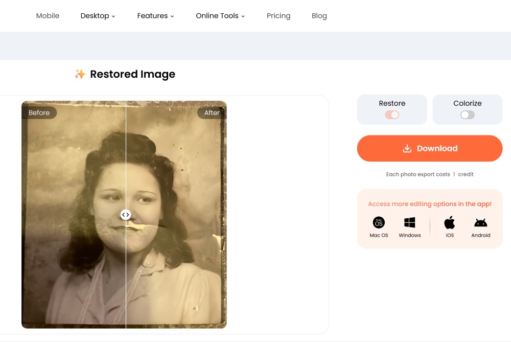 Airbrush Web Screenshot EN - Photo Restoration WWII Love story example tool