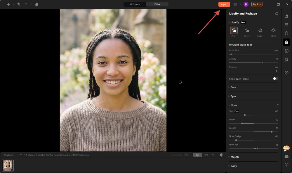 Airbrush Studio Screenshot EN - change the nose nose tool export
