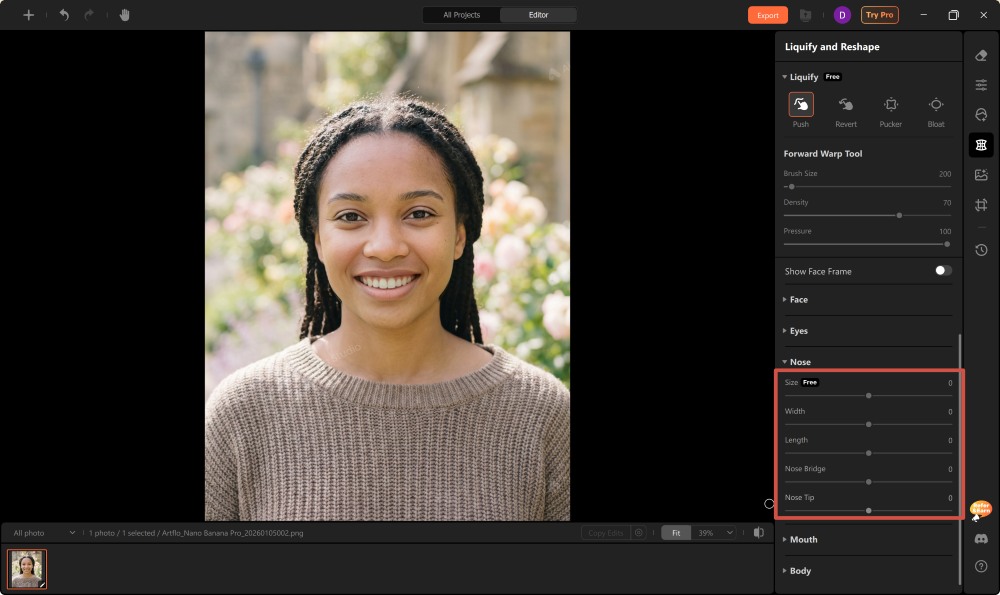 Airbrush Studio Screenshot EN - change the nose nose tool sliders