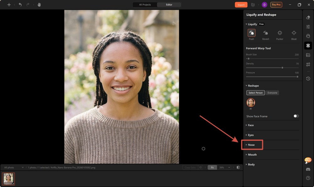 Airbrush Studio Screenshot EN - change the nose nose tool