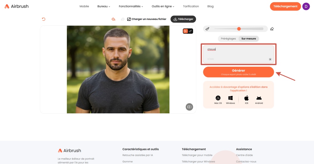 Airbrush Web Screenshot FR - bald filter prompt