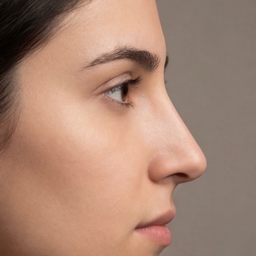 nose types - straight