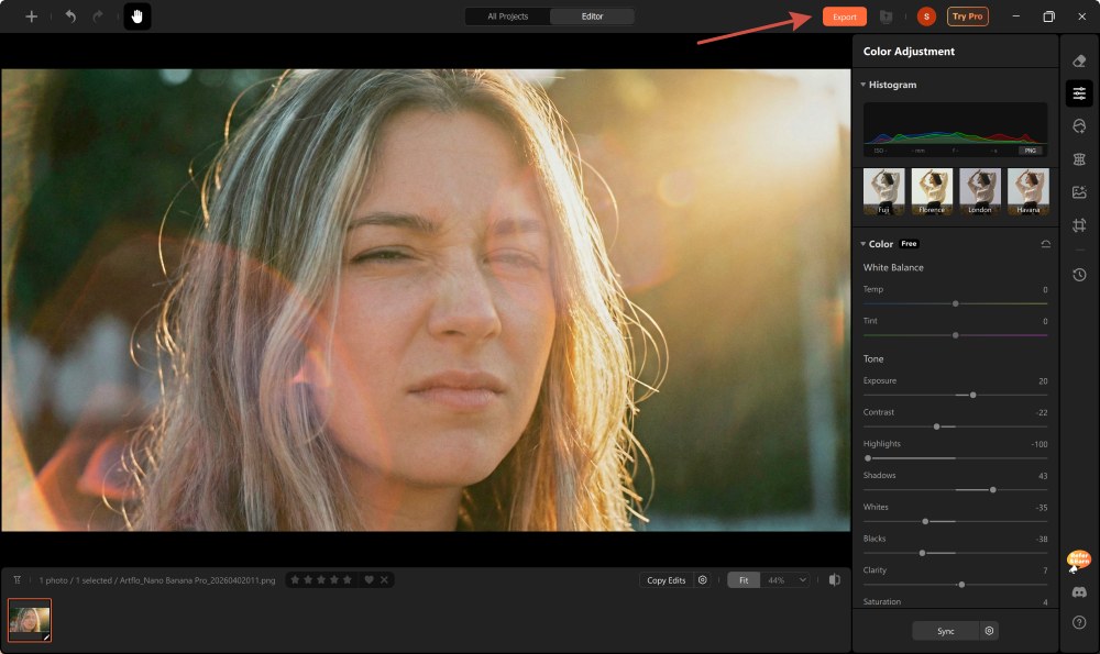 Airbrush Studio Screenshot EN - remove light reflection color adjustment result export